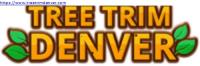 Tree Trim Denver image 2