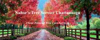 Nabor's Tree Service Chattanooga image 3