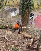 Viking Tree Service, LLC. image 4