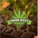 Trees Sixty Nursery logo