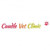 Caudle Veterinary Clinic image 1