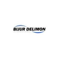 Bijur Delimon International image 1