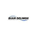 Bijur Delimon International logo