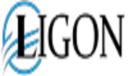 Ligon Cash Buyers logo