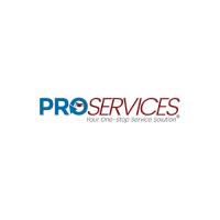 Pro Services, LLC image 3