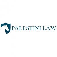 Palestini Law image 1