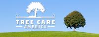 Tree Care America image 2