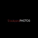Stockyard Photos logo