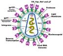 HIV Antigens logo