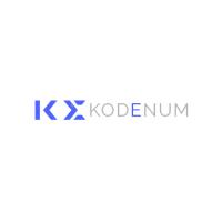 Kodenum Digital Marketing and Software Development image 1