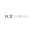 Kodenum Digital Marketing and Software Development logo