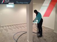 Tulip Carpet Cleaning Manassas image 3