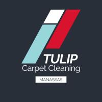 Tulip Carpet Cleaning Manassas image 6