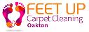 Feet Up Carpet Cleaning Oakton logo