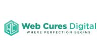 Web Cures Digital image 3