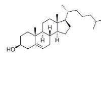 cholesterol conjugated sirna image 1