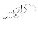 cholesterol conjugated sirna logo