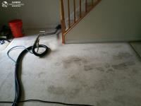 Sunbird Carpet Cleaning Annandale image 7
