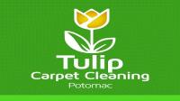 Tulip Carpet Cleaning Potomac image 4