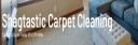 Shagtastic Carpet Cleaning logo