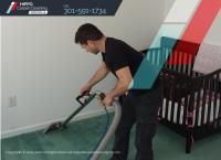 Hippo Carpet Cleaning Rockville image 2