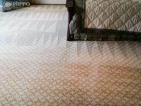 Hippo Carpet Cleaning Springfield image 5