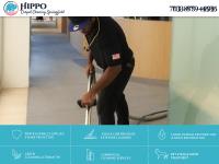 Hippo Carpet Cleaning Springfield image 3