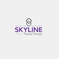Skyline Physical Therapy image 1
