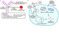 adc methods image 1