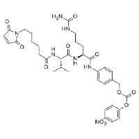 mc val cit pabc pnp image 1