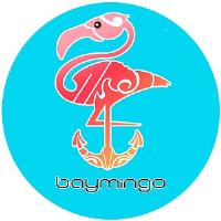 Baymingo - Boat rental services image 1