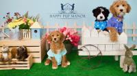 Happy Pup Manor image 2