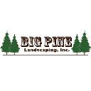 Big Pine Landscaping, Inc. logo