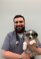 SRVC: Shackleford Road Veterinary Clinic image 4