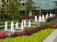 Best Landscaping Contractor In Rockville MD image 6
