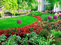 Best Landscaping Contractor In Rockville MD image 7