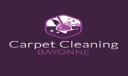 Carpet Cleaning Bayonne logo