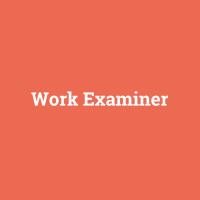 Work Examiner image 4