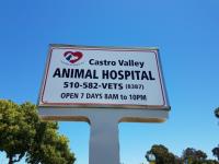 Castro Valley Animal Hospital image 3