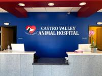 Castro Valley Animal Hospital image 2