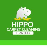Hippo Carpet Cleaning Chantilly image 2