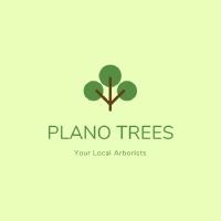 Plano Trees image 1