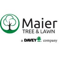 Maier Tree & Lawn image 1