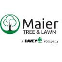 Maier Tree & Lawn logo