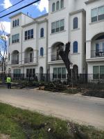 Highpoint Tree Care image 3