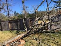Highpoint Tree Care image 1