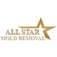 All Star Mold Removal image 1