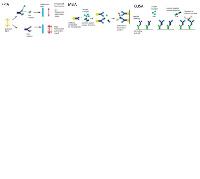 Small Molecule Drug Antibodies and Conjugates image 1