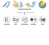 Anti-PEG Antibodies image 1