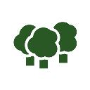 CarbonForest logo
